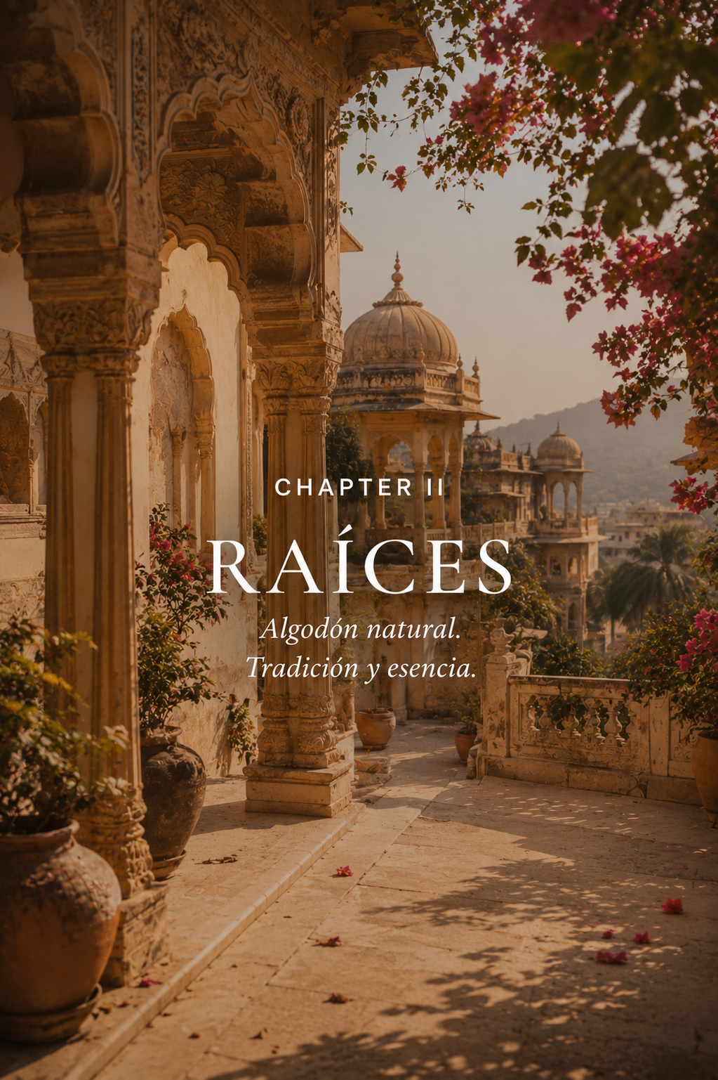 Raices